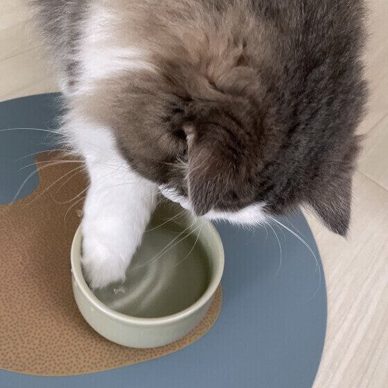 水で遊ぶラフくん