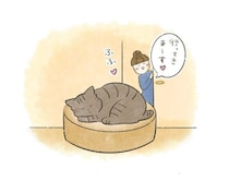 寝顔に癒やされていたのに、急に不安になった話【連載】交通事故にあった猫を拾いました#267