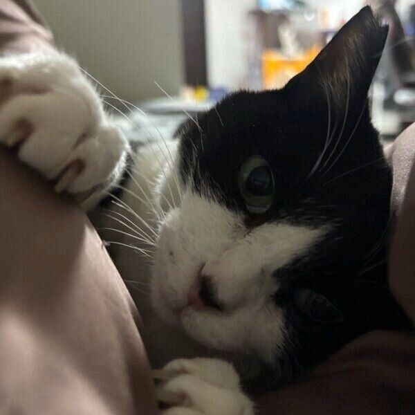 甘えん坊のハッチちゃん