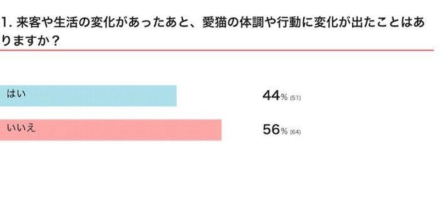 来客や生活の変化があったあと、愛猫の体調や行動に変化が出たことはある?