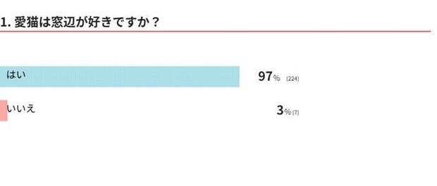 愛猫は窓辺が好き?