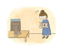 人間の思い通りにいかない、猫との暮らしが楽しい理由【連載】交通事故にあった猫を拾いました#268