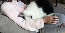体が小さく弱っていた元野良の子猫が6才に　大切な家族になった今、“赤ちゃん”みたいに甘える姿を見ると「可愛くて癒される」