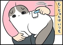 「食べ残し」から始まった、あの日感じた小さな違和感【連載】もふもふスコたん#368
