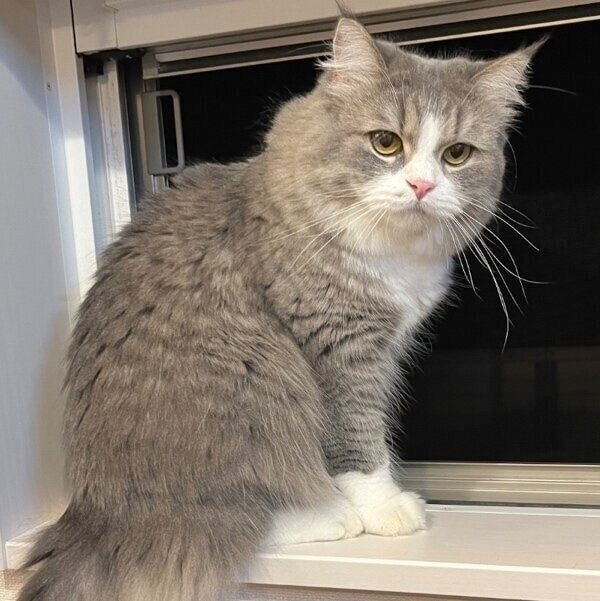 1才ごろのソルちゃん