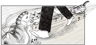 足元に走ってきて「ピタッ」！ 真顔のままの猫、いきなり止まらないで欲しい