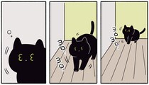 黒猫ろんが寝ぼけ眼で出動!?真夜中に起きた虫騒動