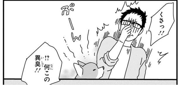 まるでスカンク!? ワンちゃんのおしりからただよう異臭