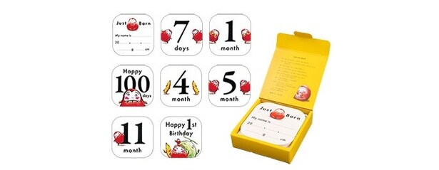 マンスリーカード15枚と専用ケース