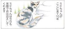 いつも笑顔な猫が来て10年。「やすらぎさん」とミケちゃんが繋ぐ出会いの物語／続 ミケちゃんとやすらぎさん（1）