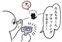 定位置で待機完了！ブラッシングに協力的すぎる黒猫ろん