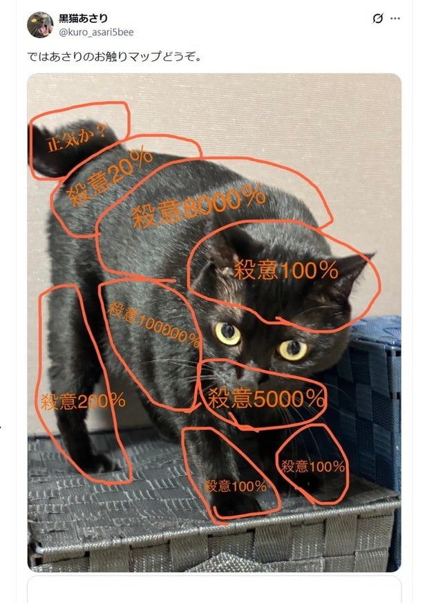 お触りマップ▶よく見ると…どこも触れない!?(⇒次へ)