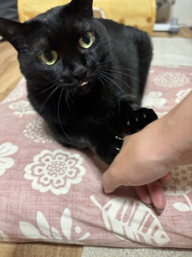 あさりちゃんのデレは格別のかわいさです…▶ワイルドな表情も(⇒次へ)