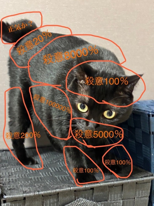 危険地帯だらけなお触りマップ▶あさりちゃんの爪切りは大変?(⇒次へ)