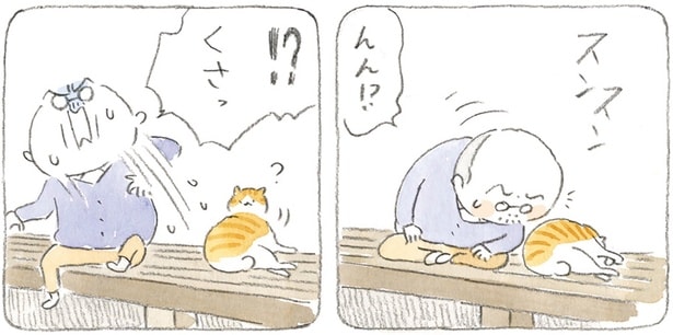 散歩から帰ってきた猫がくさい!