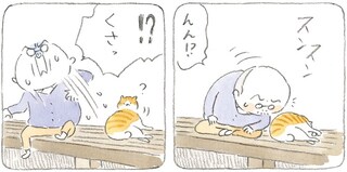 自由気ままな島内散歩から帰宅。なんだかにおう猫を洗いたいじいちゃん