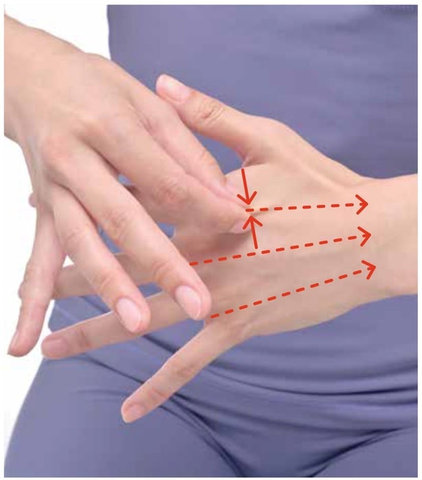 手の甲を寄せて引っ張る