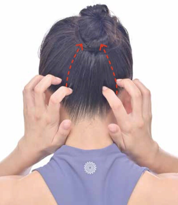 後頭部~頭頂部をなぞる