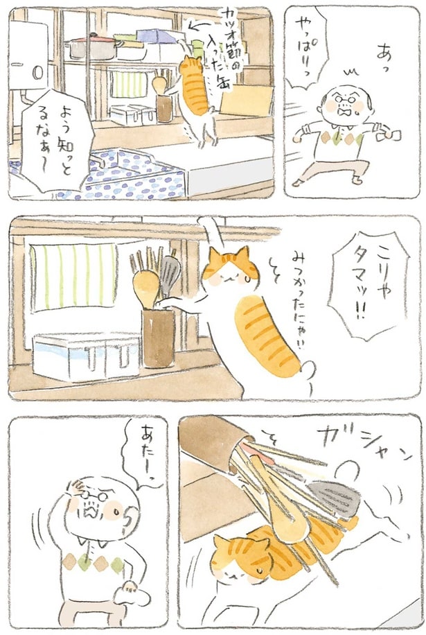 こりゃタマッ!!