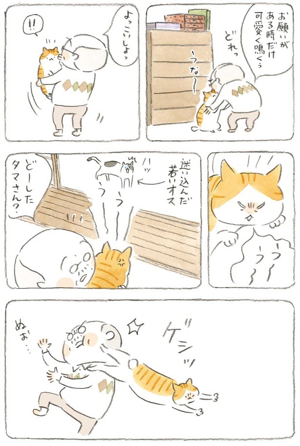 どーしたタマさん?