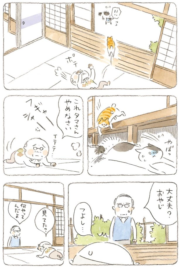 見てた?