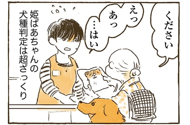 おばあちゃんの目に映るのは、どの子もナイト?ざっくりすぎる犬種判定