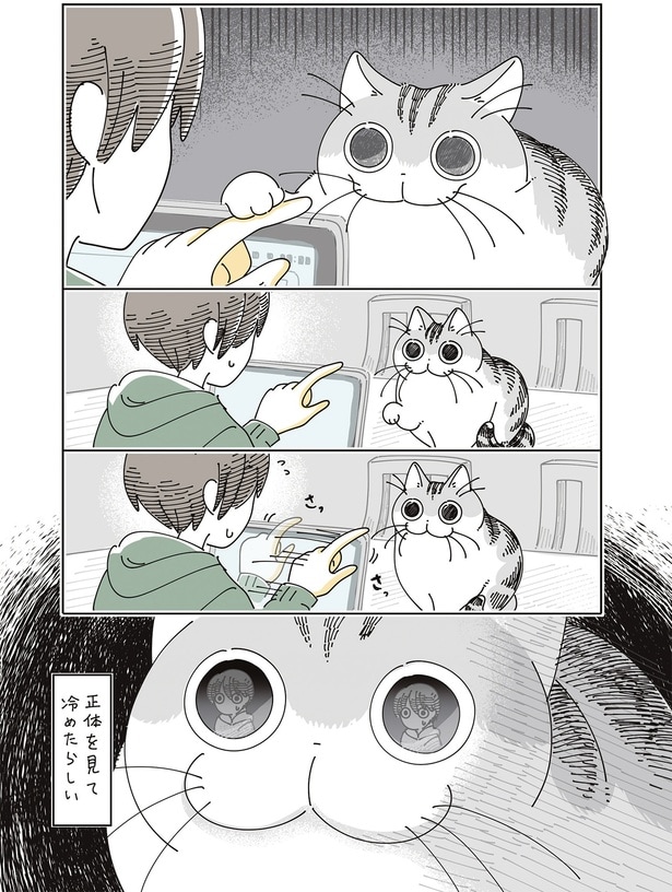 正体を見て冷めたらしい…