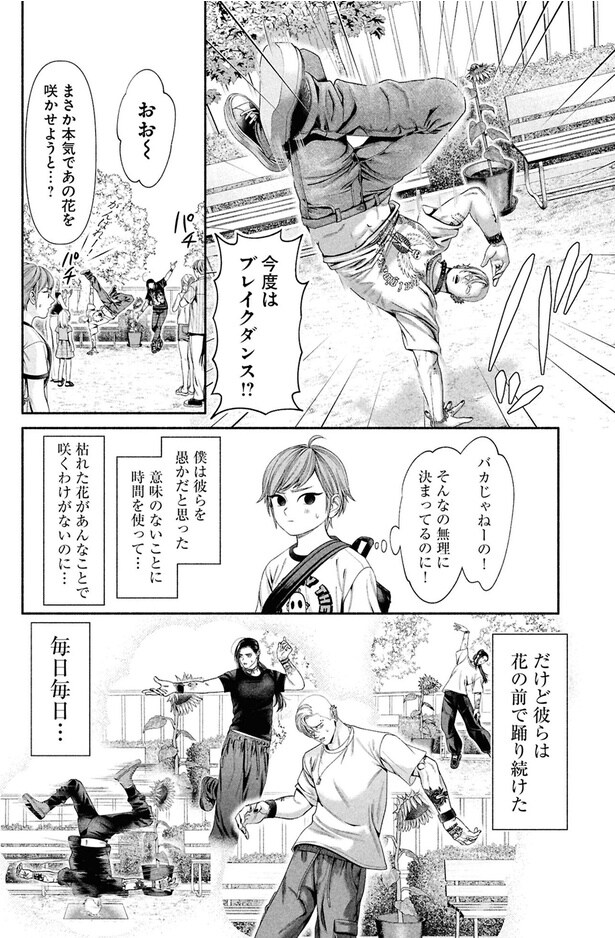 まさか本気であの花を咲かせようと…?