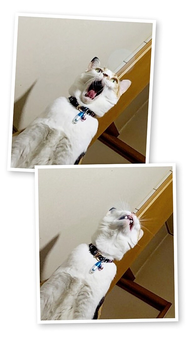 呼び寄せている!?