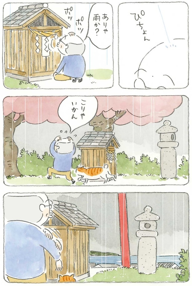 こりゃいかん