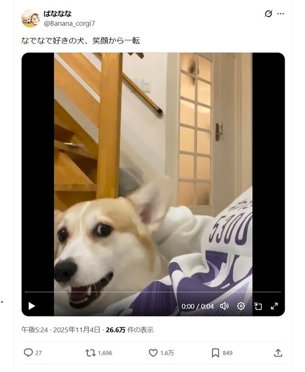 なでなでを止めると一変…▶まだまだご機嫌(⇒次へ)