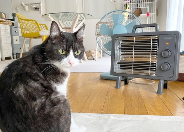 ストーブが怖いあんずちゃんとホカホカ大好きのちくわぶちゃん▶(次画像からほっこりすること間違いなし!わんちゃん観察型ショートコミック『あしょんでよッ〜うちの犬ログ〜2』が読めます)