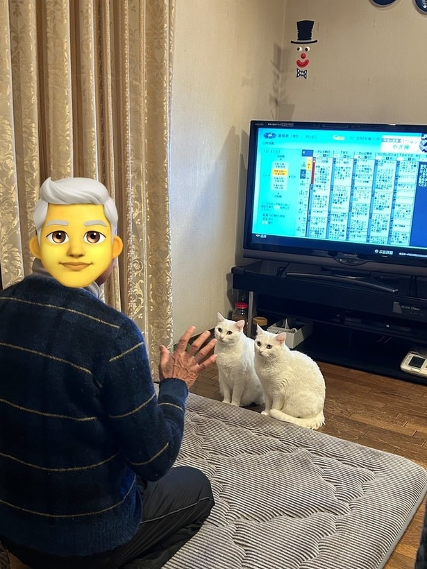 犬じゃないニャー！▶キャットタワーで仲良く同じ段でリラックス♪（⇒次へ）