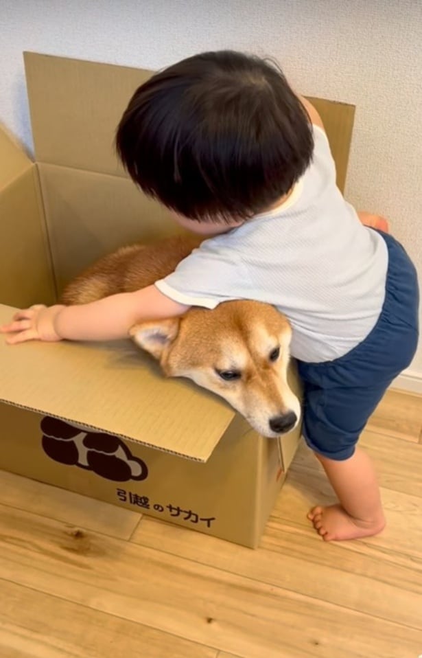 押しつぶされるポテくん▶なかよし兄弟はいつも一緒（⇒次へ）