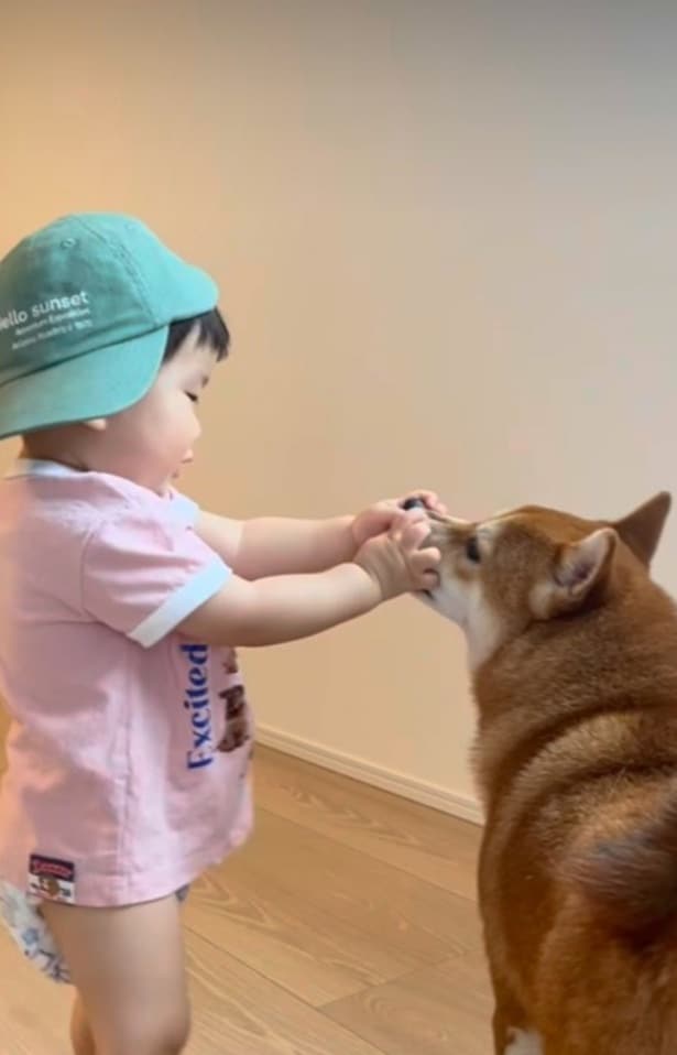 お兄ちゃんと弟のよう▶何度押しつぶされても我慢(⇒次へ)