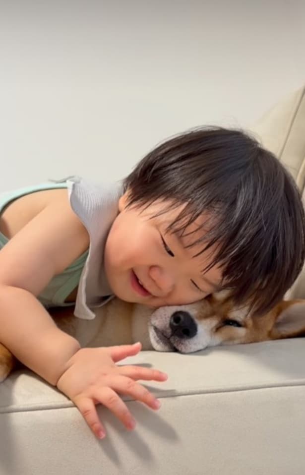 ソファで押しつぶされるポテくん▶兄弟のようなふたり(⇒次へ)