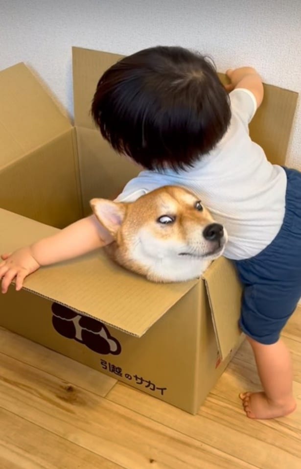 白目になりながら耐える▶最初はどうだったかというと…（⇒次へ）