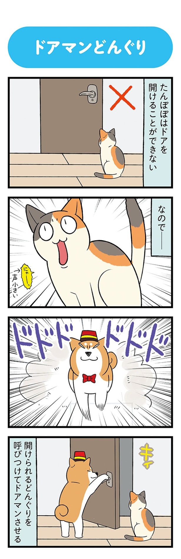 ドアを開けることができない なので