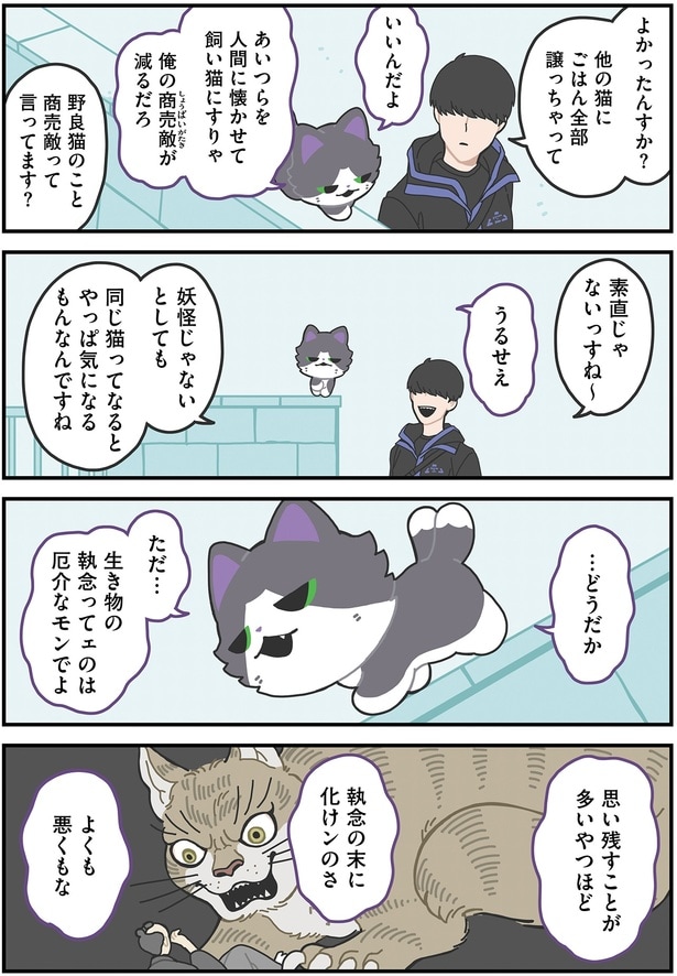 野良猫のこと商売敵って言ってます？