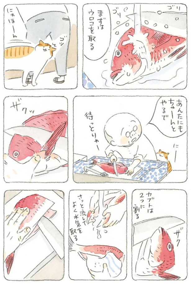 待っとりゃー