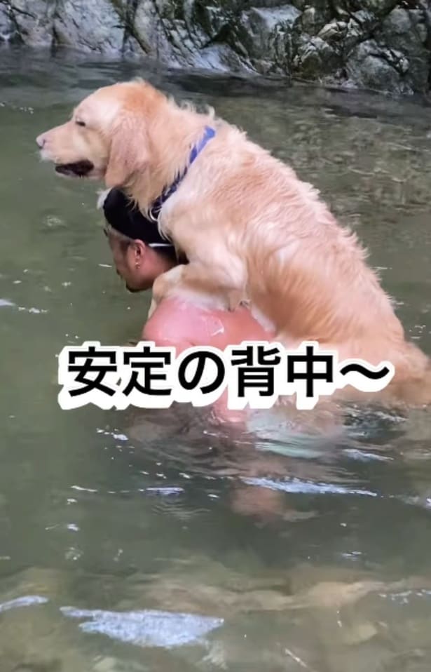 重たい・・・という心の声が聞こえてきそう▶目がとろんとろん（⇒次へ）