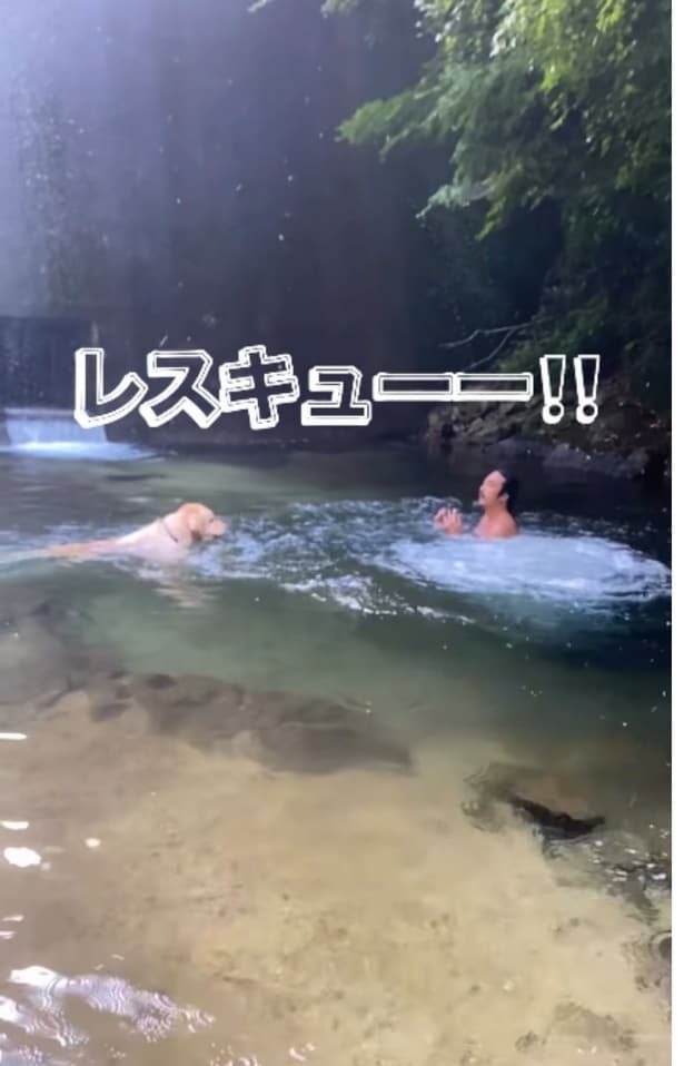 飛び込んだ飼い主さんをレスキュー！▶またもや秒速で救いにいく！（⇒次へ）