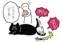 イライラもごきげんも一目瞭然。黒猫ろんのわかりやすいシッポ