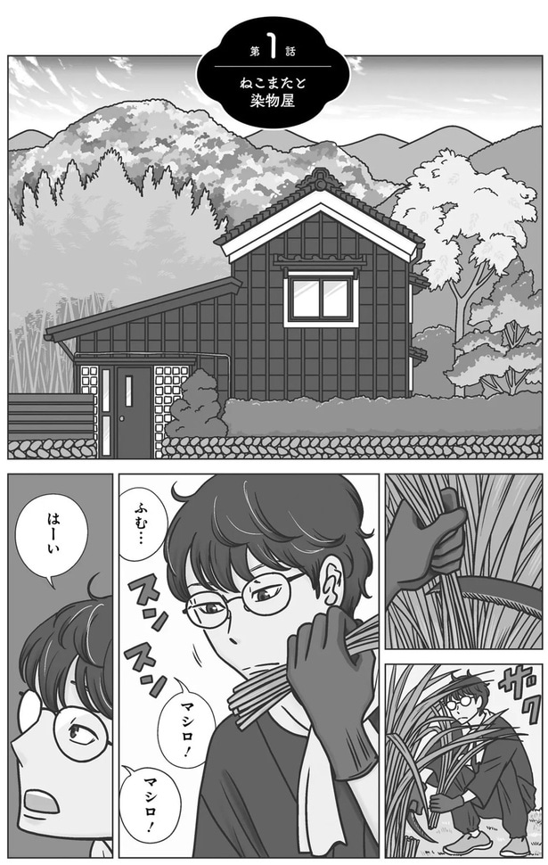 マシロ！マシロ！