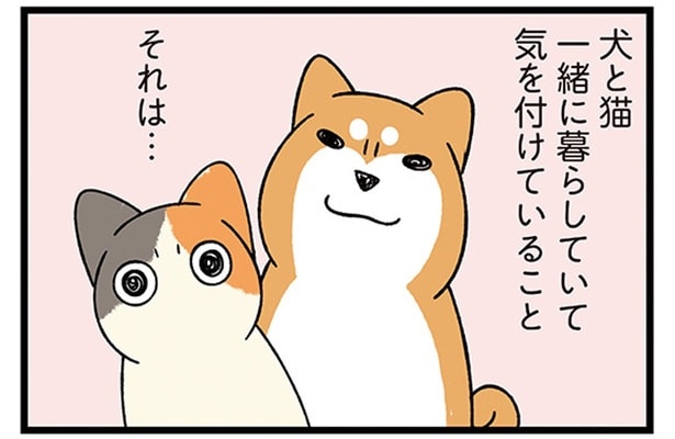 犬と猫一緒に暮らしていて気を付けていること、それは…