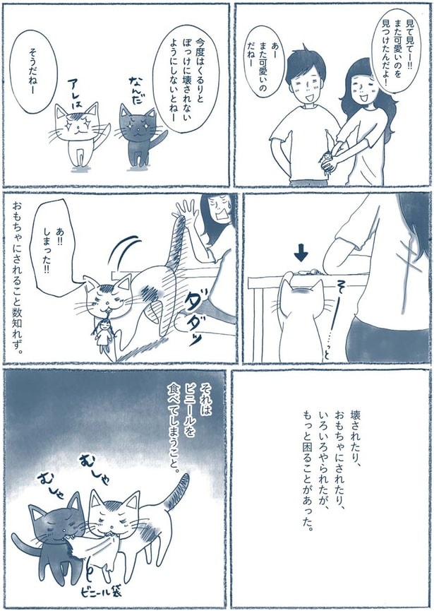 ビニールを食べてしまうこと