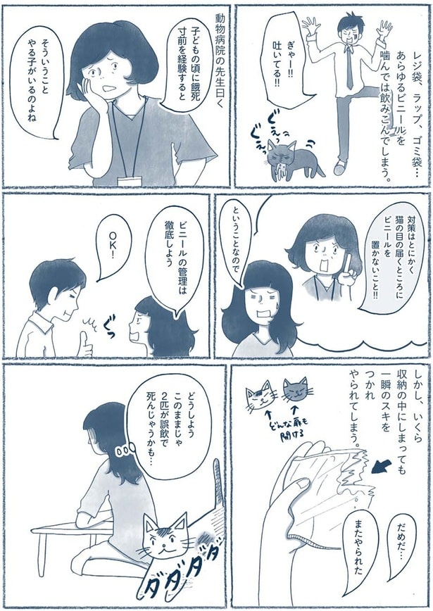 ビニールの管理は徹底しよう