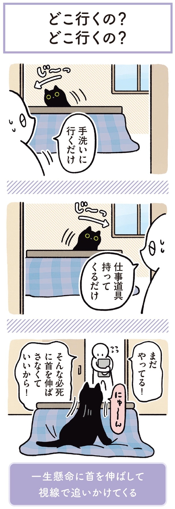 まだやってる！