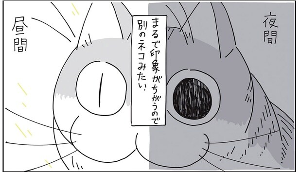 まるで印象が違う