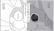 夜間と昼間、瞳孔で全然違う猫の印象。けれど変化するのは明るさだけではないようで？